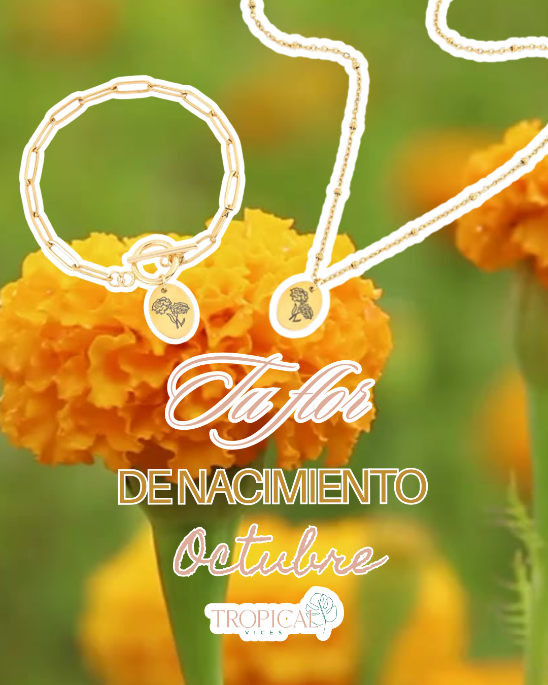 LA FLOR QUE ERES- Bundle