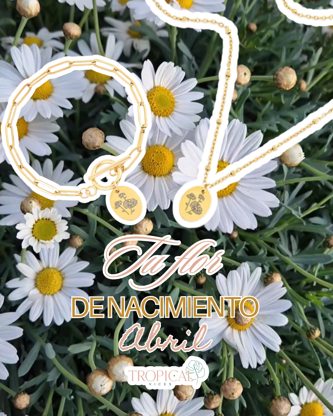 LA FLOR QUE ERES- Bundle